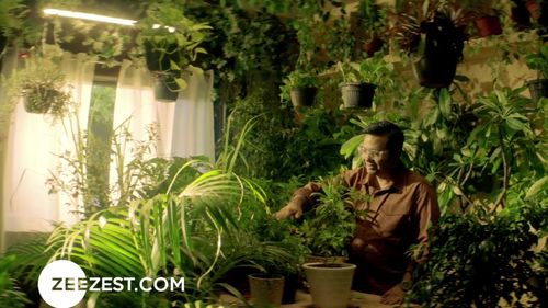 A Nurturing Connection